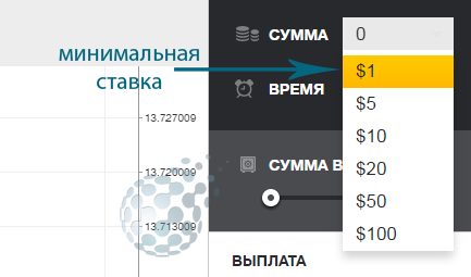 Минимальная ставка 1 доллар